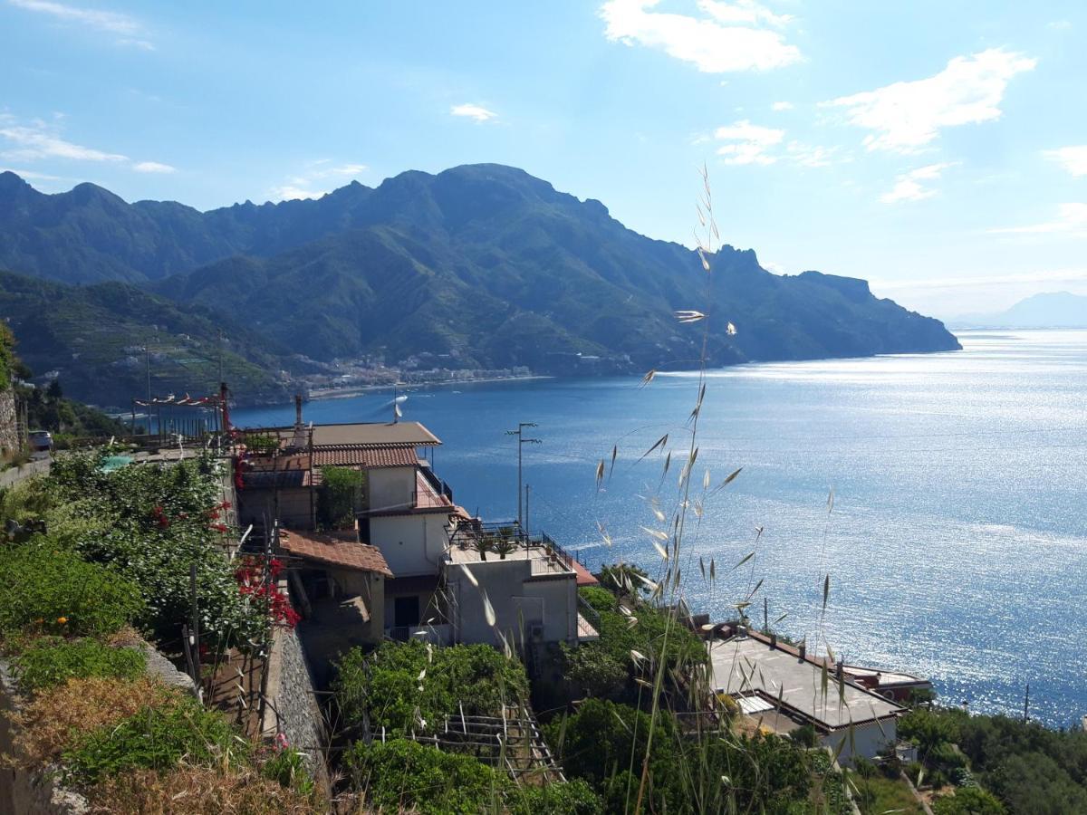 Osolemiohouse Lägenhet Minori Exteriör bild